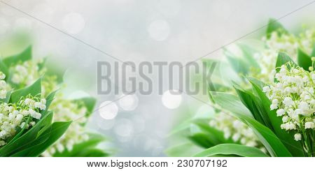Bunch Of Lilly Of Valley Flowers Over Gray Bokeh Background Banner
