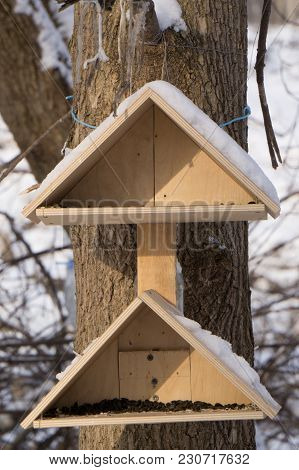 Birdhouse Wooden Copyspace Orange Birds Home Tree Birdbox