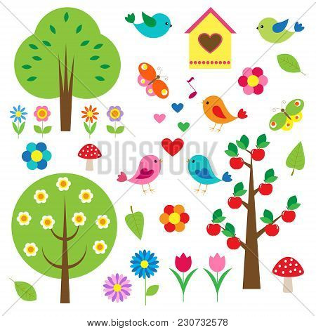 Birds And Trees. Vector Set. Vector Illustrtion