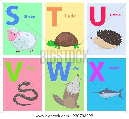 Capital Letters S, T, U, V, W, X As Part Of Alphabet Vector. Fluffy Sheep, Sea Turtle, Cute Urchin, 