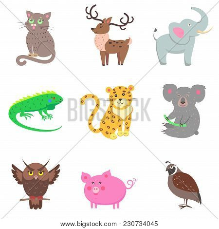 Vector Illustration Of Brown Owl And Quail, Pink Pig, Gray Koala And Elephant, Spotty Jaguar, Green 