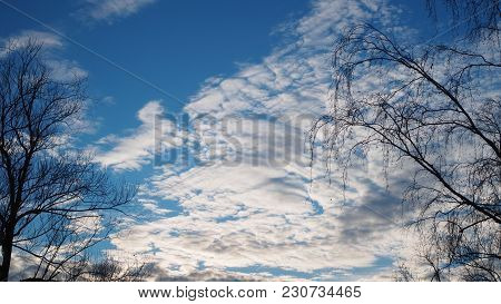 White Clouds And Trees Without Leaves On Blue Evening Sky Background