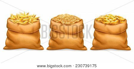 Vector Realistic Bag With Purified And Unrefined Wheat Grains, Barley With Wheat Ears Isolated On Wh