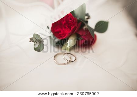 Two Golden Wedding Rings Isolated Background Concept.