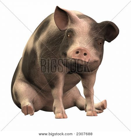 Pettyes Piggie-
