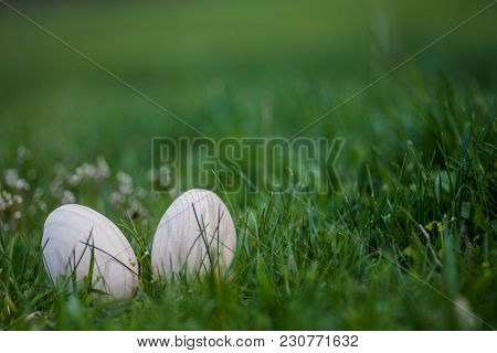 Two White Easter Eggs With A Branch Of Apricot In Green Grass. Easter Background. Search For Eggs At