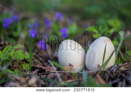 Two White Easter Eggs With A Branch Of Apricot In Green Grass. Easter Background. Search For Eggs At