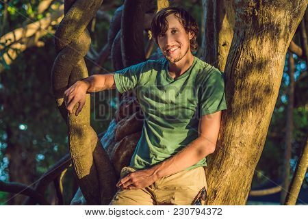 Man Watching Tropical Lianas In Wet Tropical Forests.