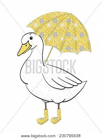Duck With Umbrella, Hand Drawn Goose, Vector