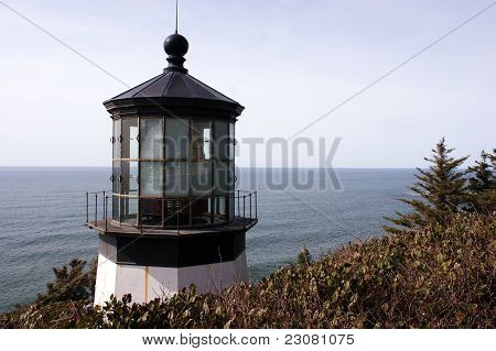 CAPE MEARS