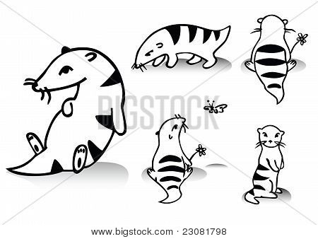 Funny Animals