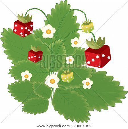 Fragola e dadi