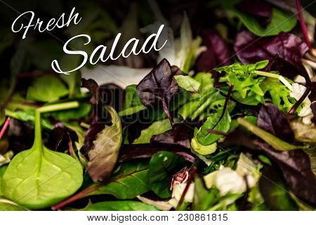 Fresh Salad With Mixed Greens Lettuce Arugula, Mesclun Mache Close Up Healthy Food Meal