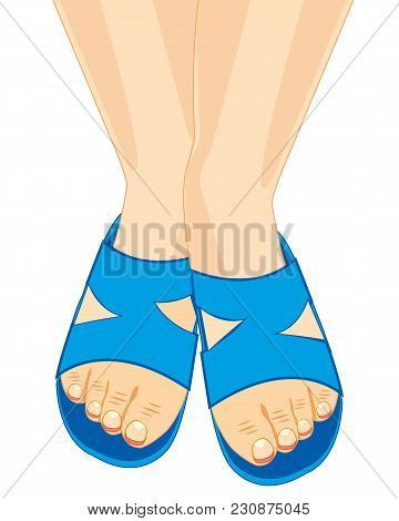 Legs In Schist On White Background Is Insulated