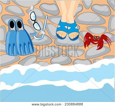 Coast Sea And Legs In Schist.vector Illustration