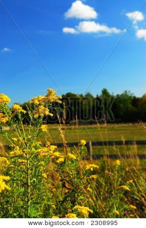 Paesaggio rurale