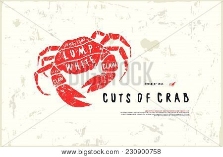 Stock Vector Crab Cuts Diagram In The Style Of Handmade Graphics. Illustration With Rough Texture. C