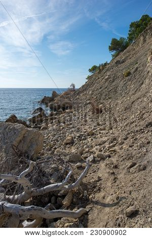 Ses Boques Beach On The Island Of Ibiza