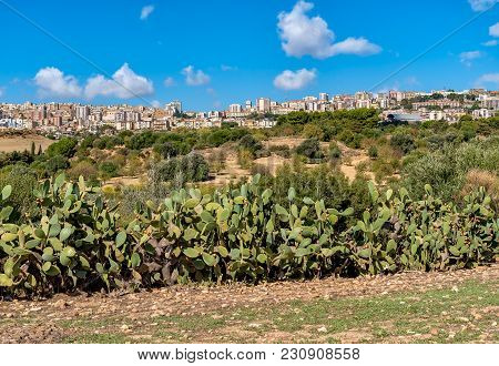 View Of Agrigento Town From The Temples Valley Archaeological Park, Sicily, Italy