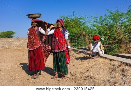 GODWAR REGION, INDIA - 14 FEBRUARY 2015: Rabari tribeswomen stand in field wearing sarees and upper-arm bracelets. One balances bucket on head. Rabari are an Indian community in the state of Gujarat.
