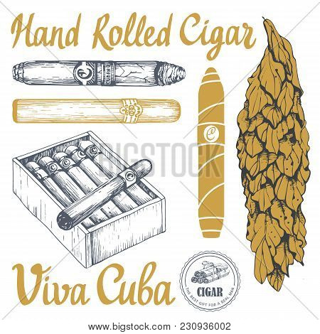 Vector Illustration With Classical Smoking Set. Bunch Of Tobacco Box, Hand Rolled Cigars, Leaf In Sk