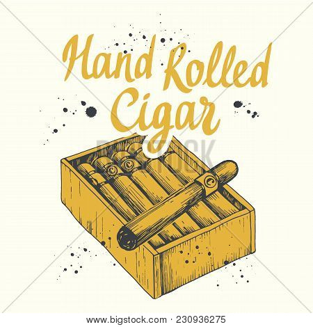 Vector Illustration With Hand Rolled Cigars In Sketch Style. Classical Smoking Set. Bunch Of Tobacco