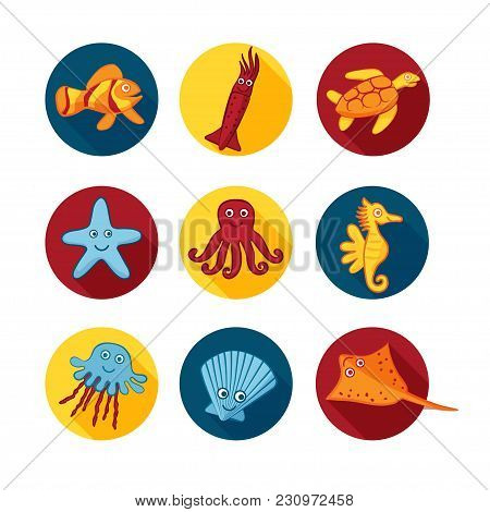 Cute Vector Sea Animals Icons In Color Blue Red Yellow Circles For Stickers And Icons For Children D