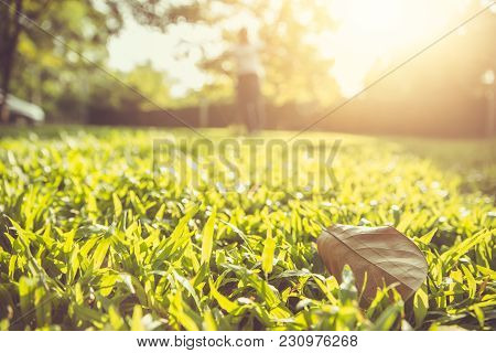 Green Grass Lawn With Sunny Bright Vintage Colortone