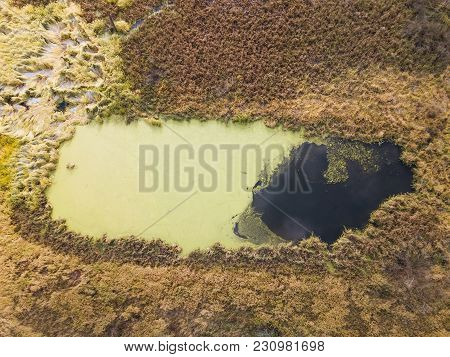 Small Lake (swamp). Moscow Region Landscape. Aerial View