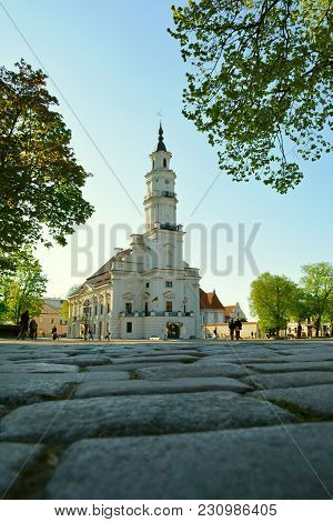 Low Point View Of Famous White City Hall, Framed By Tree Twigs And Stone Pavement In Old Town Kaunas
