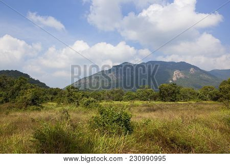 Sri Lankan Scenic Landscape At Ritigala With Mountains Woodland And Dry Grasses Under A Blue Sky Wit