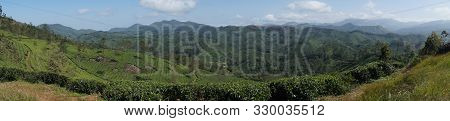 Panorama Over The Green Lush Tea Plantations In Munnar, India