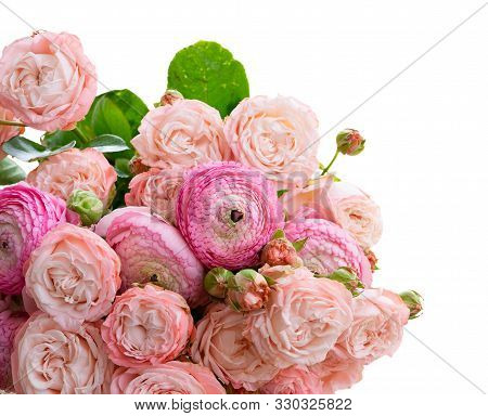 Rose And Rununculus Flowers Border Isolated On White Background