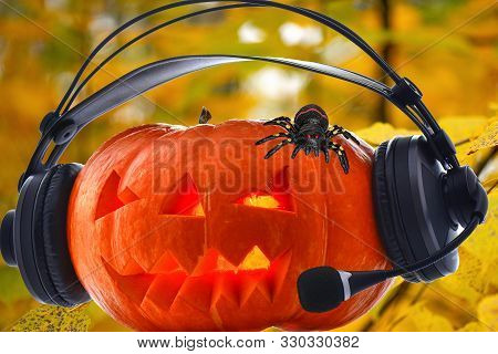 Orange Pumpkin For Halloween Day With Different Characters Like Skeleton Centipede Spider Web Bats C