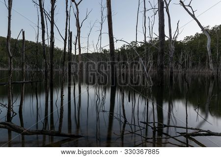 Dead Trees Reflecting On Water During Sunset Over Advancedtown Lake, Queensland, Australia.