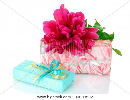 presentes de beautirul-de-rosa e flor de peônia isolado no branco