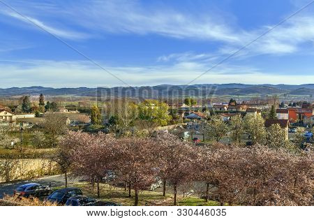 Landscape With Blooming Cherries In Brioude, France