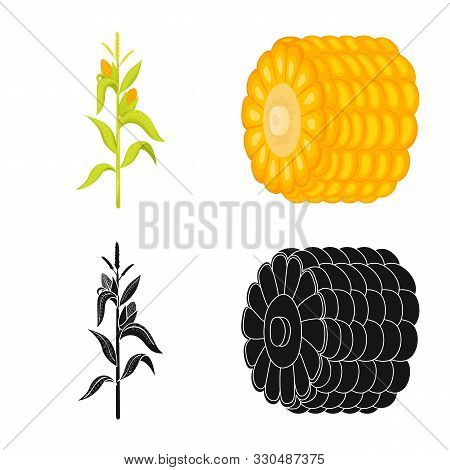 Vector Design Of Cornfield And Vegetable Logo. Collection Of Cornfield And Vegetarian Stock Vector I