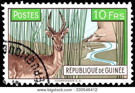 Guinea - Circa 1961: Postage Stamp Issued In Guinea With The Image Of The Impala Antelope Defassa Wa