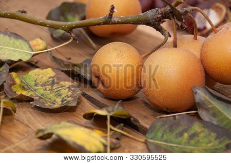 Fruits Of Apples On A Wooden Background