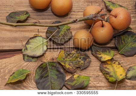 Fruits Of Apples On A Wooden Background
