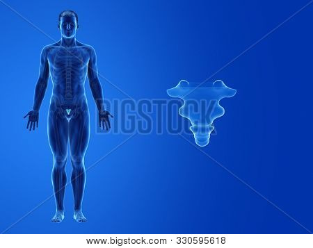 3d rendered medically accurate illustration of the human coccyx