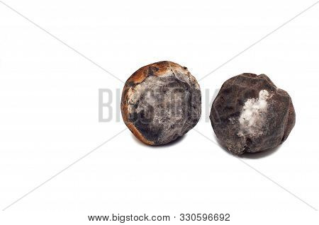 Spoiled Walnut On A White Background, Isolate.