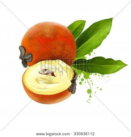 Kamagong, Mabolo, Talang, Butter Fruit, Velvet Apple
