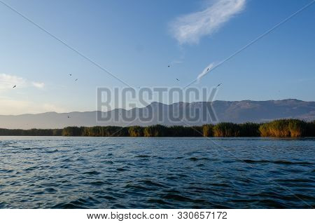 Birds Are  Flying Against The Blue Sky On The Eber Lake In Turkey.