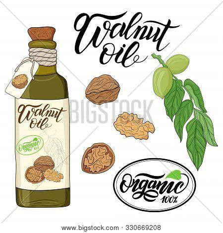 Bottle Of Walnut Oil And Flax Flower Elements