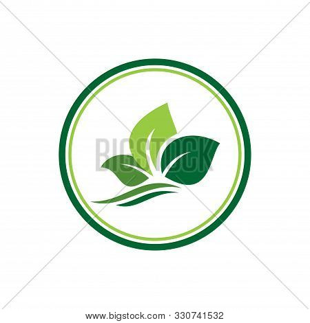 Abstract Leaves Plantation Garden Estate Logo Icon Vector Concept Design