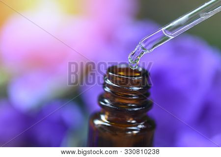 Aromatherapy Herbal Oil Bottles Aroma Dropper On Glass With Flower On Nature Green Background / Esse