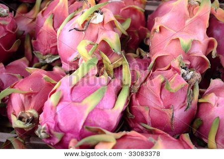 รายละเอียดกลุ่มของผลไม้ pitaya