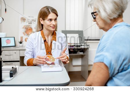 Female Ophthalmologist Showing The Eye Model To A Senior Patient During A Medical Consultation In Th